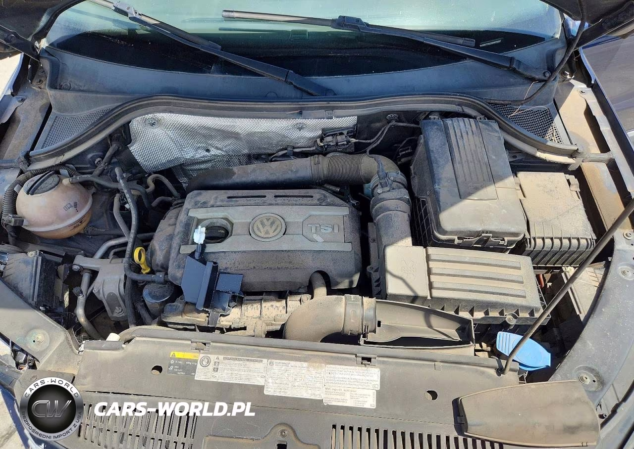 2016 Volkswagen Tiguan S VIN:WVGBV7AX2GW528687 - 12