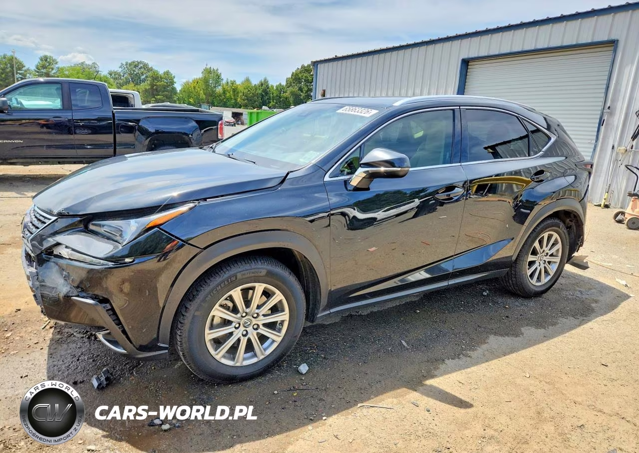 2021 Lexus Nx 300 Base VIN:JTJDARBZ4M2180816 - 1