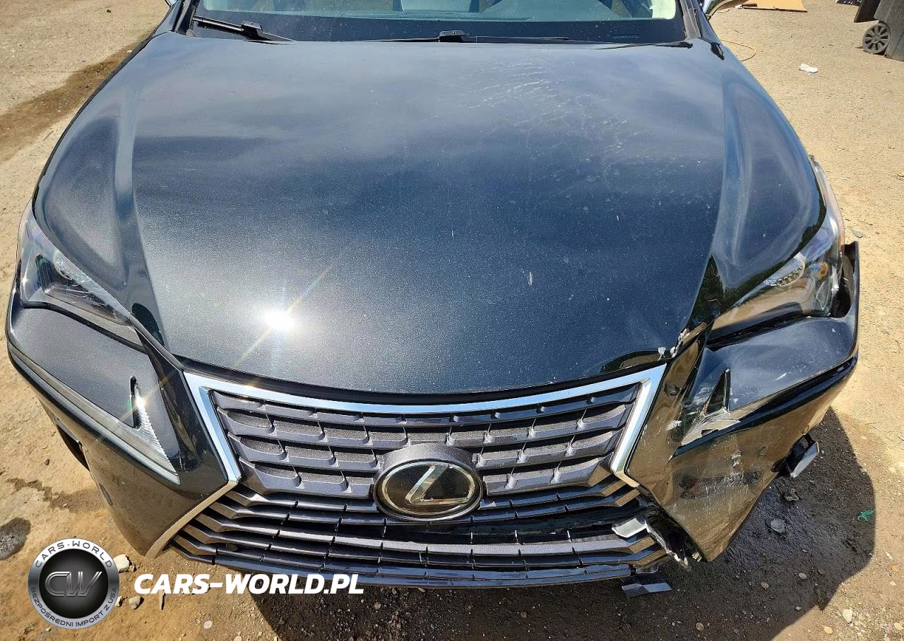 2021 Lexus Nx 300 Base VIN:JTJDARBZ4M2180816 - 12