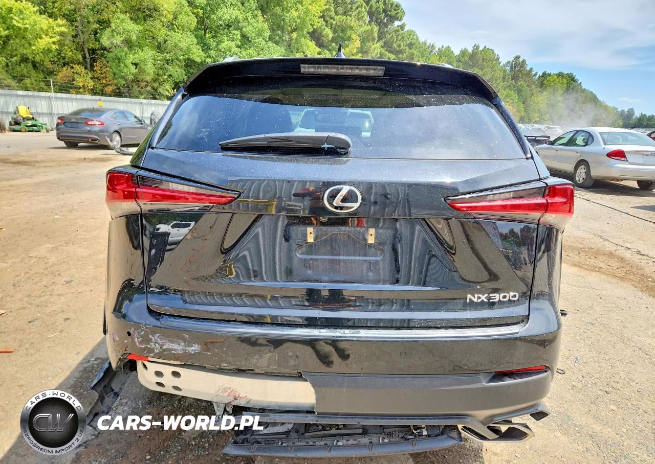 2021 Lexus Nx 300 Base VIN:JTJDARBZ4M2180816 - 6