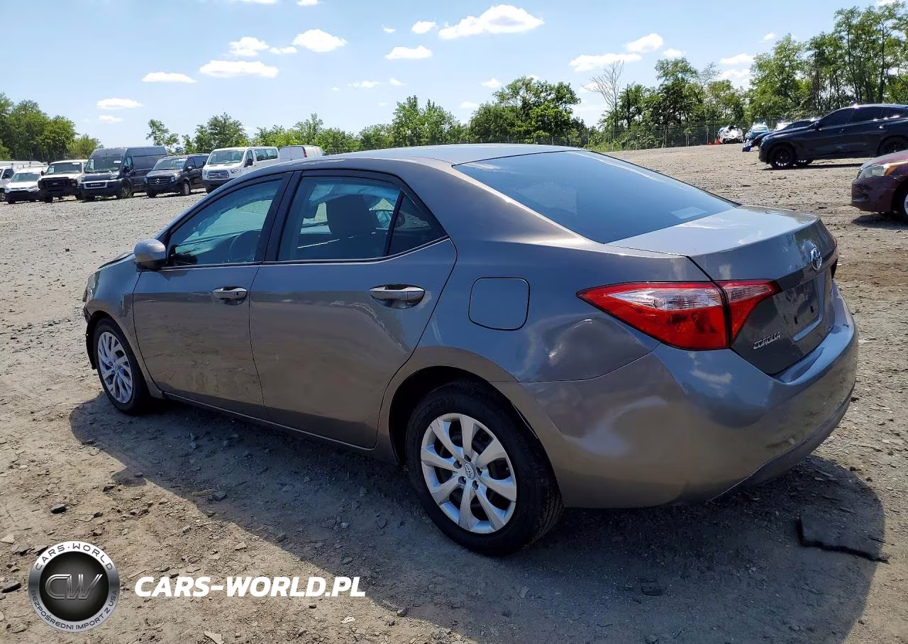 2019 Toyota Corolla Le VIN:2T1BURHE8KC239290 - 2