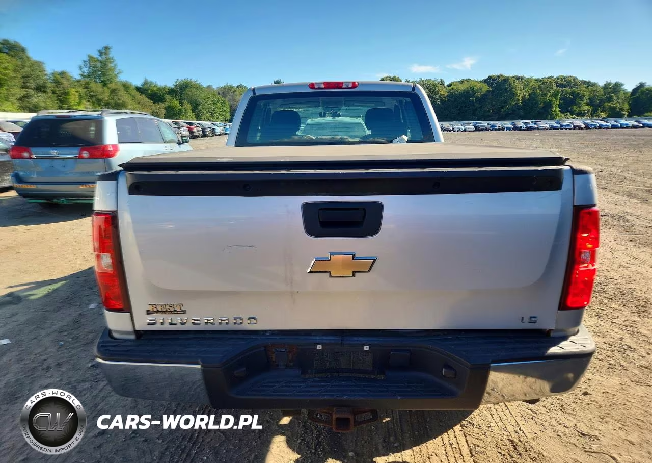 2010 Chev 1500 Silve VIN:1GCSCPEXXAZ281994 - 6