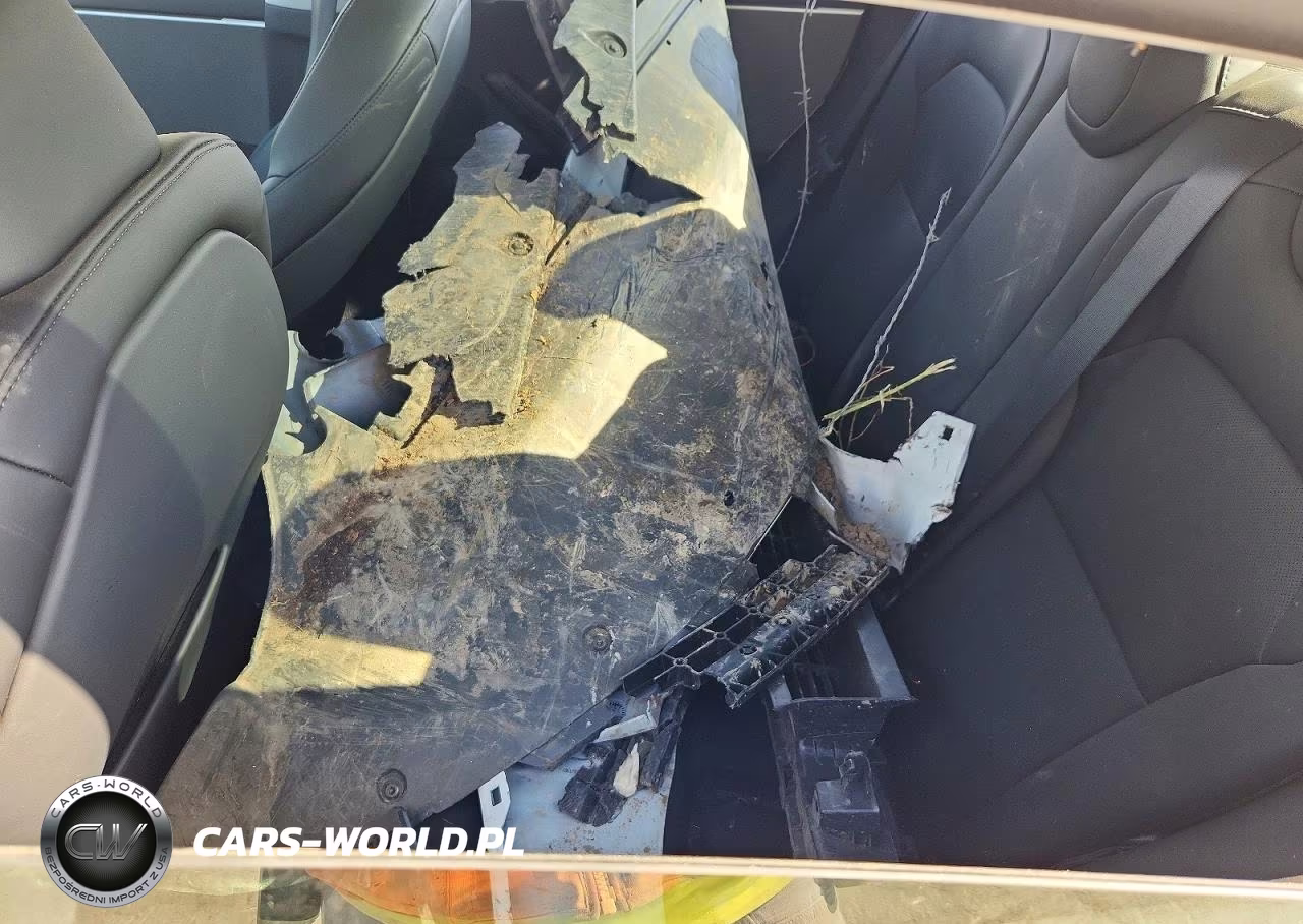 2025 Tesla Model 3 VIN:5YJ3E1EAXSF078800 - 10