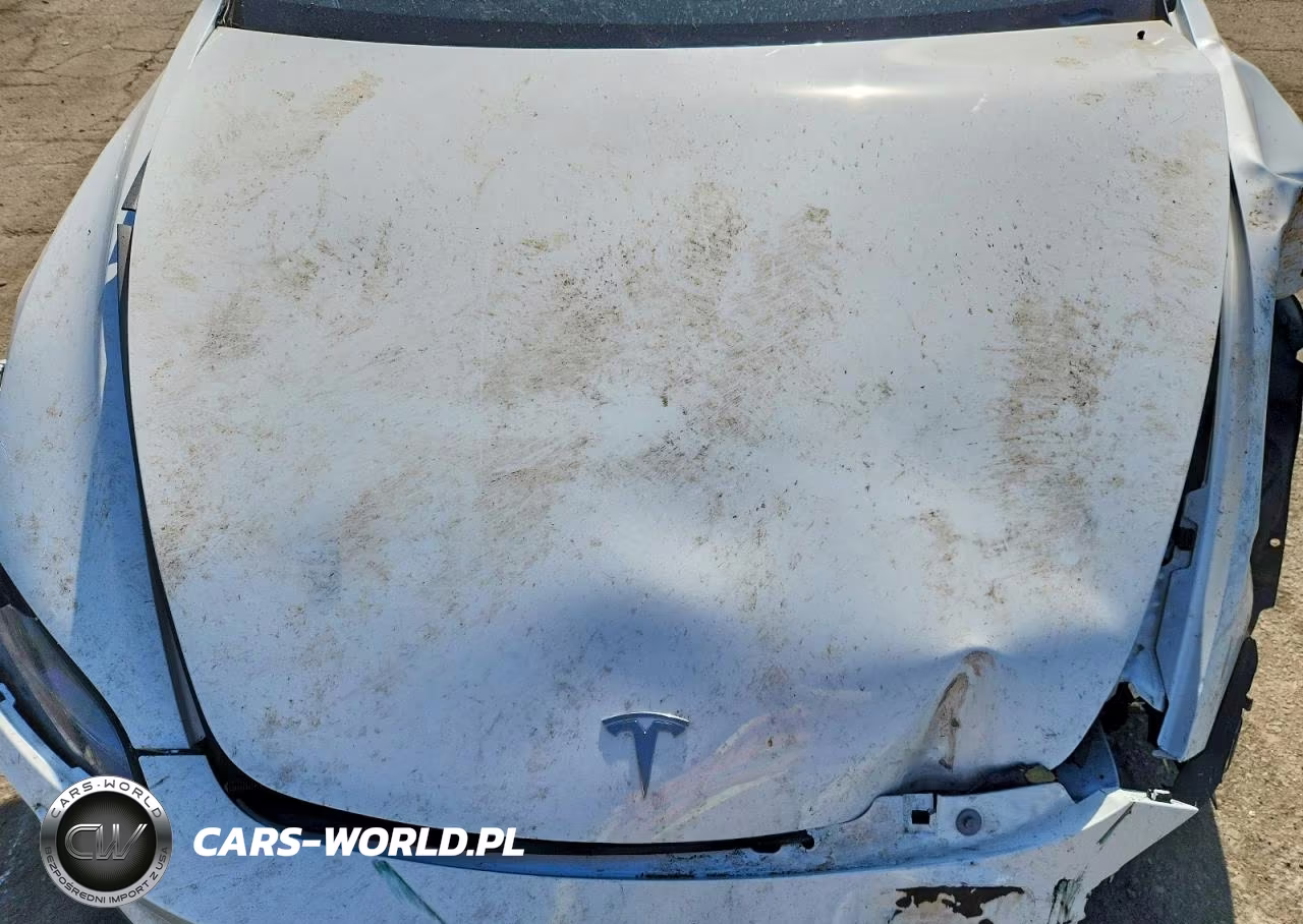 2025 Tesla Model 3 VIN:5YJ3E1EAXSF078800 - 11