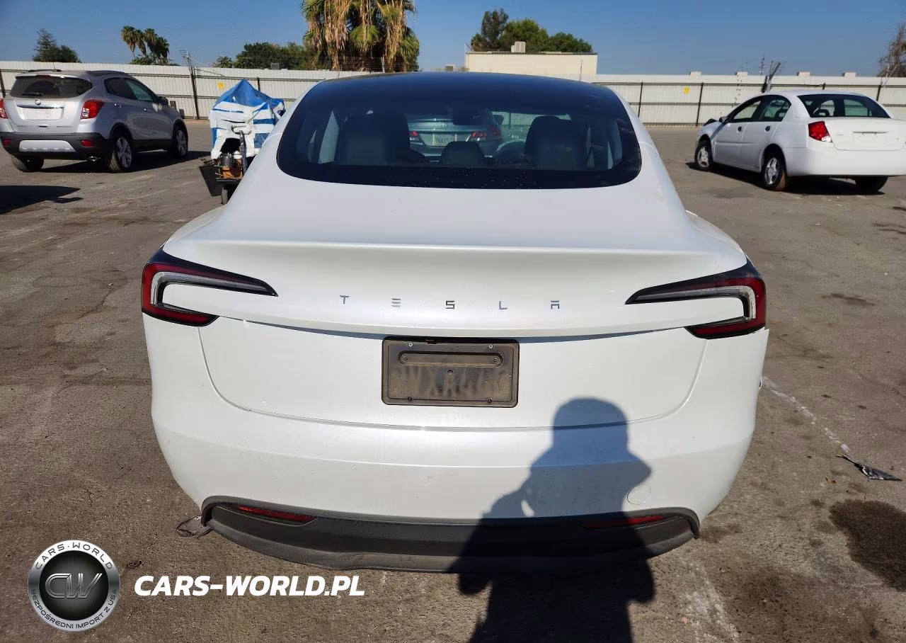 2025 Tesla Model 3 VIN:5YJ3E1EAXSF078800 - 6