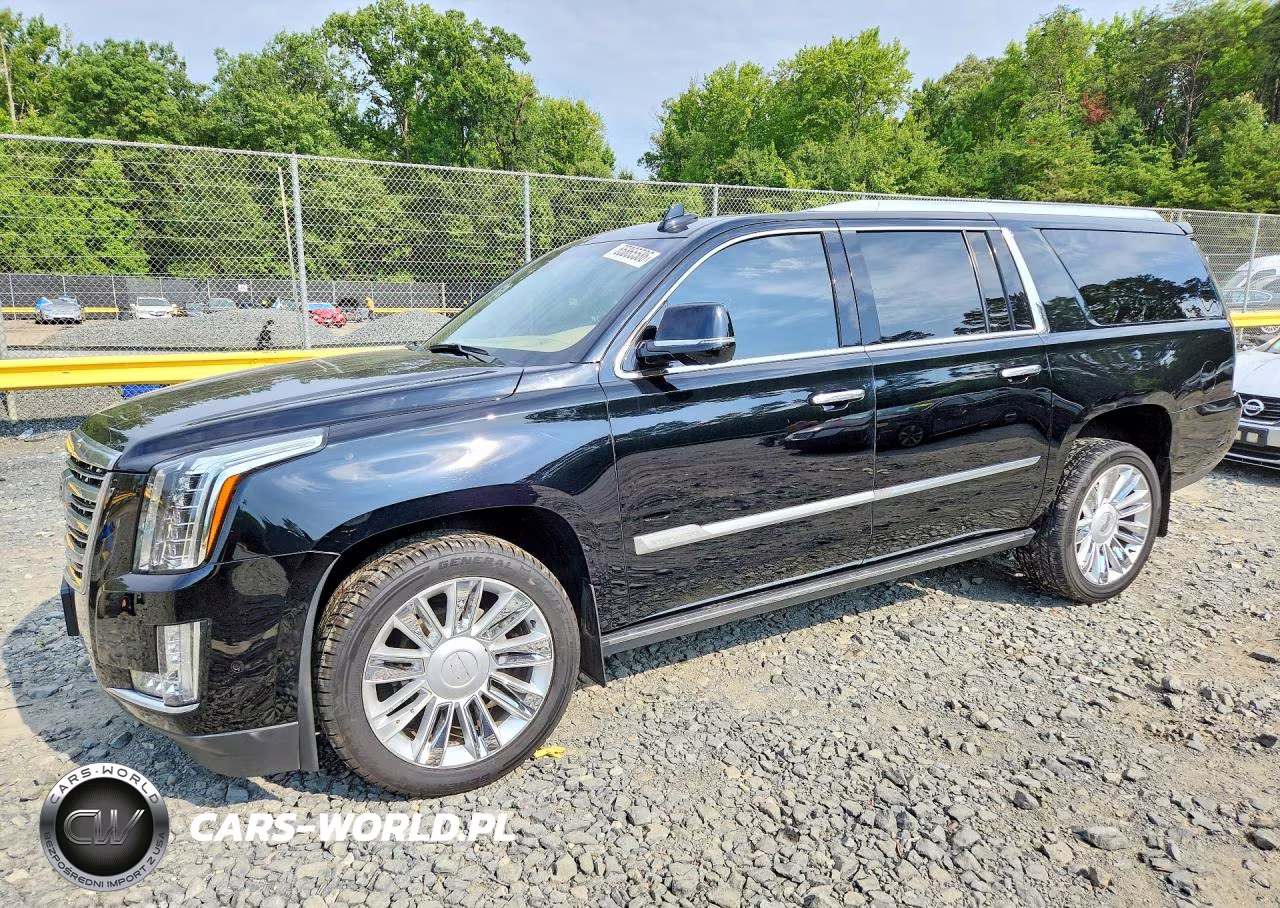 2019 Cadillac Escalade Esv Platinum VIN:1GYS3KKJ1KR254293 - 1