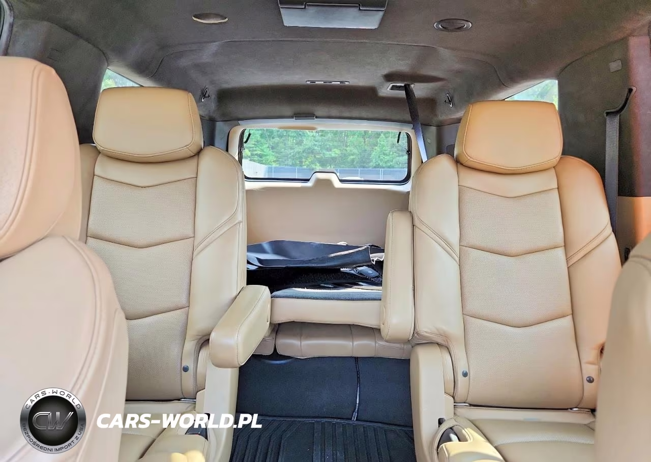 2019 Cadillac Escalade Esv Platinum VIN:1GYS3KKJ1KR254293 - 10