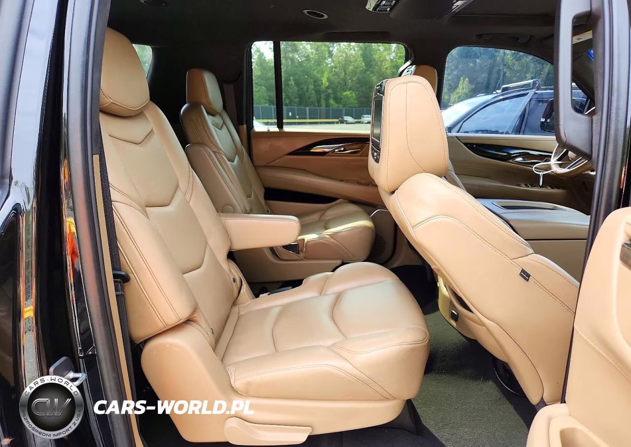 2019 Cadillac Escalade Esv Platinum VIN:1GYS3KKJ1KR254293 - 11