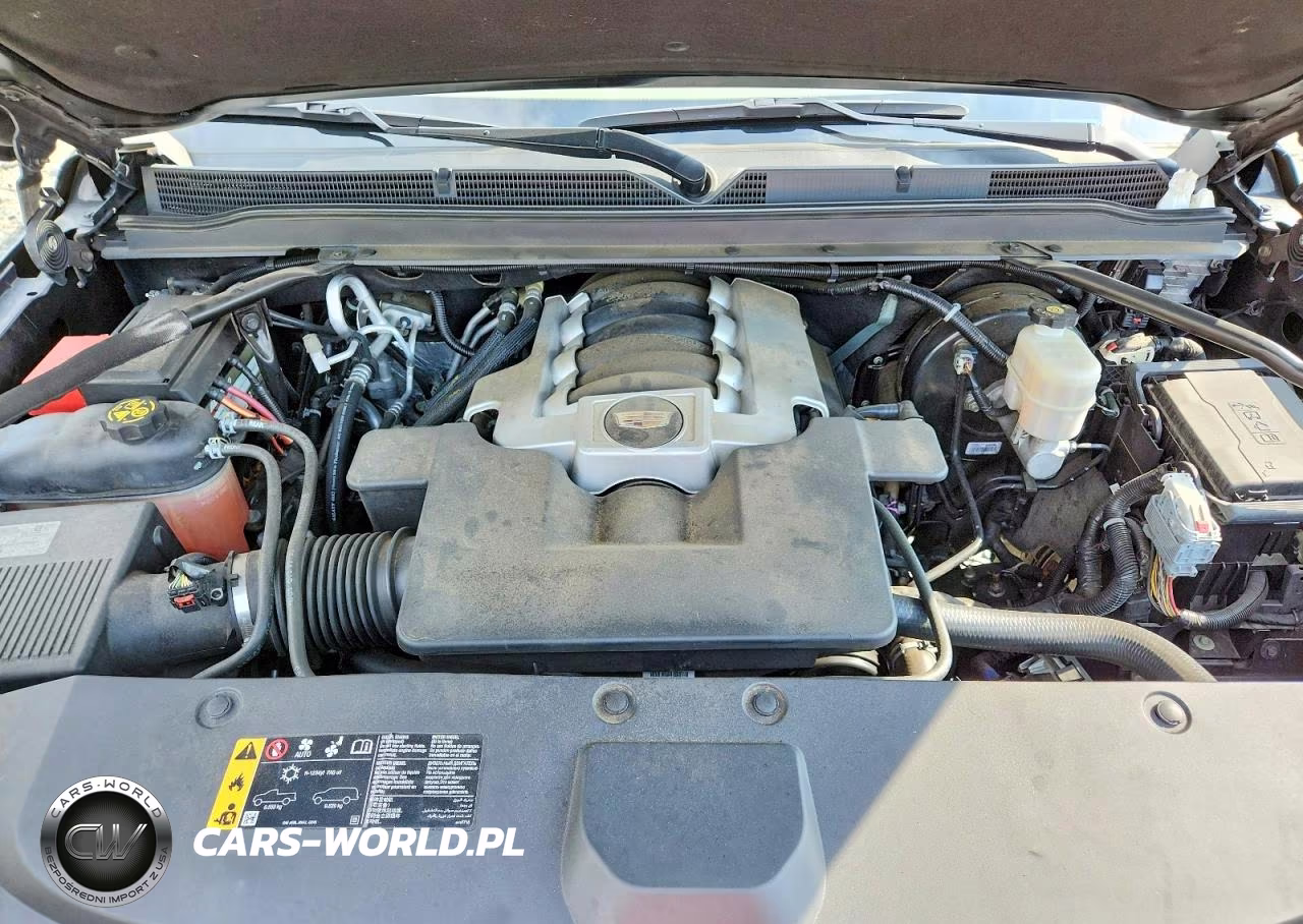 2019 Cadillac Escalade Esv Platinum VIN:1GYS3KKJ1KR254293 - 12