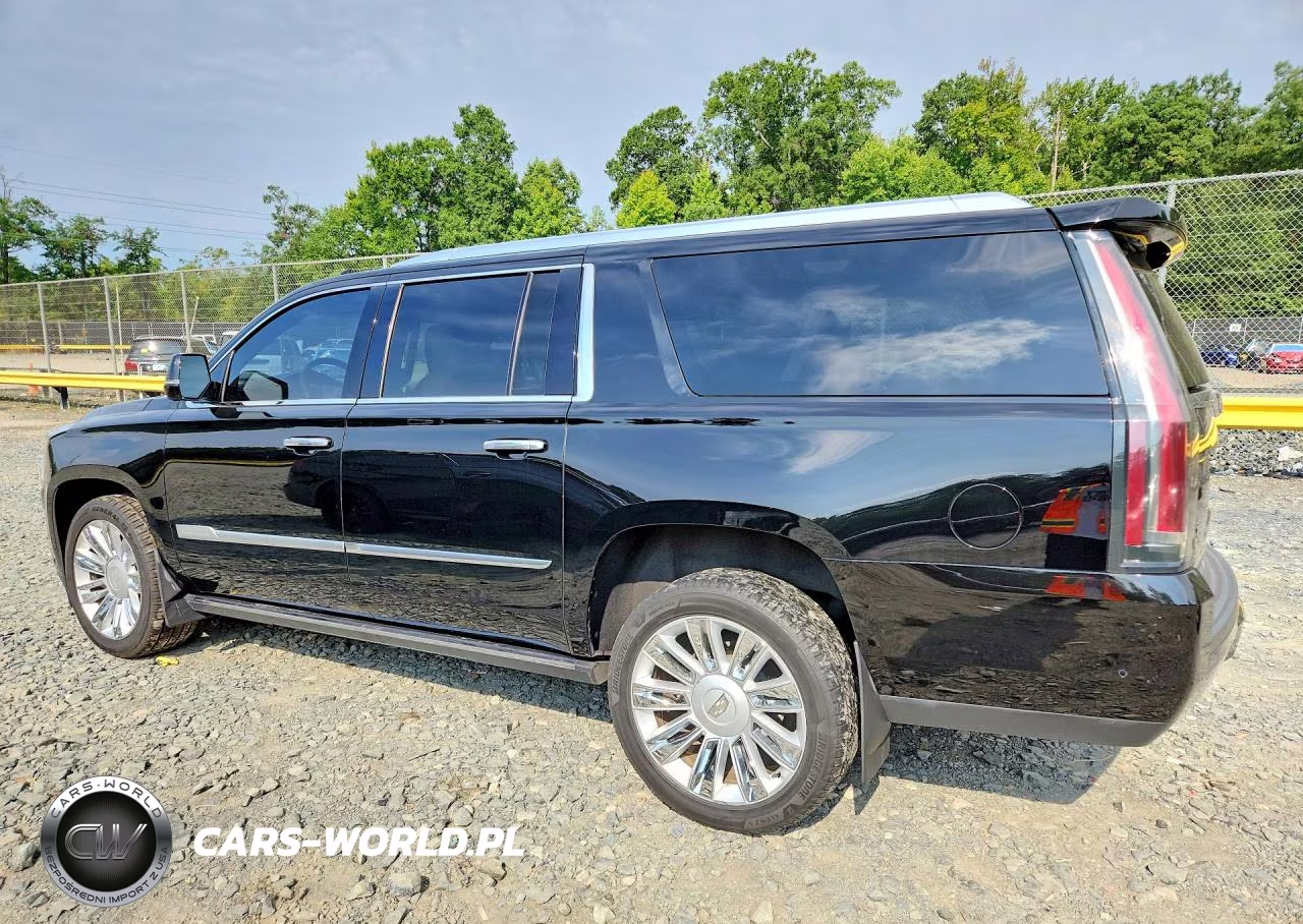 2019 Cadillac Escalade Esv Platinum VIN:1GYS3KKJ1KR254293 - 2
