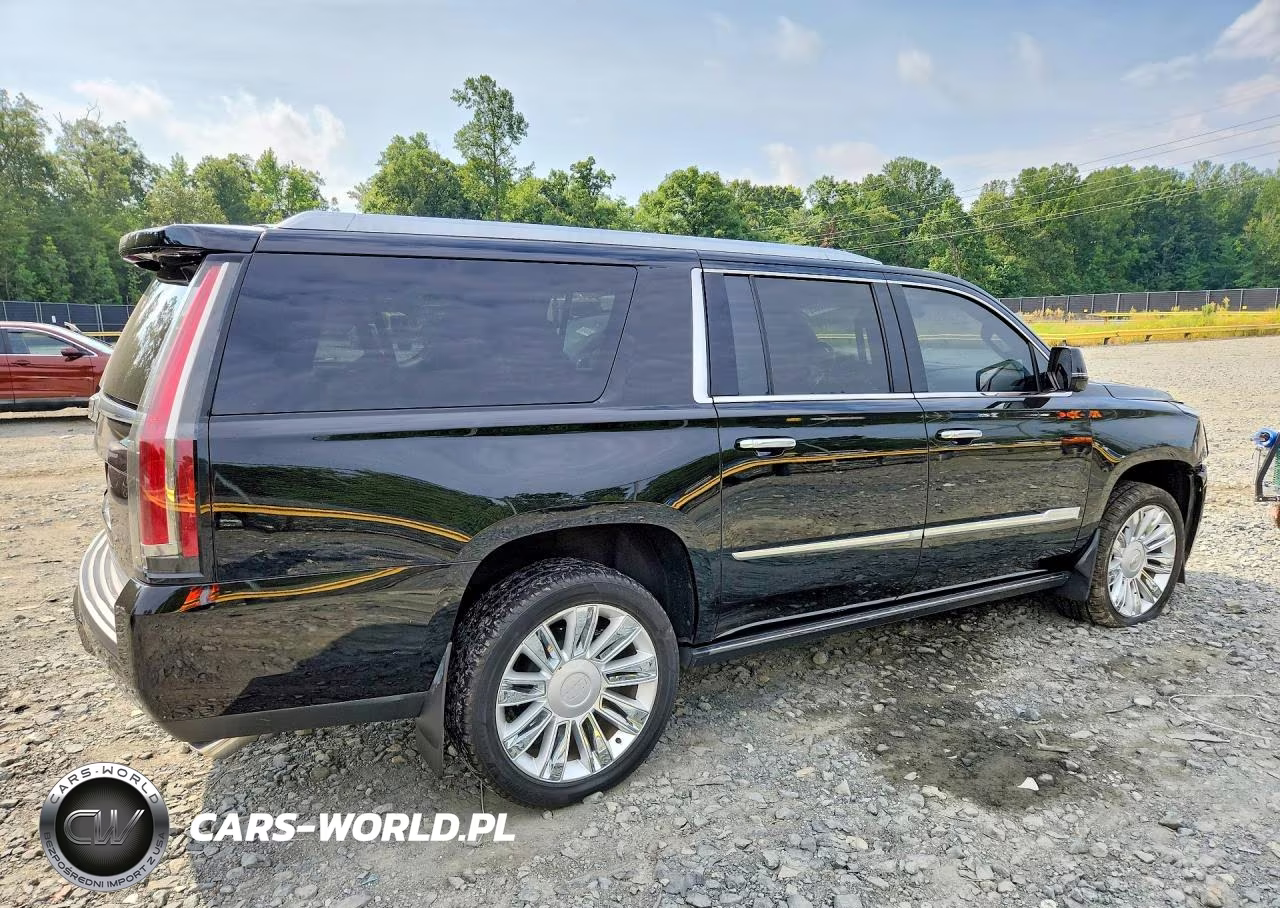 2019 Cadillac Escalade Esv Platinum VIN:1GYS3KKJ1KR254293 - 3