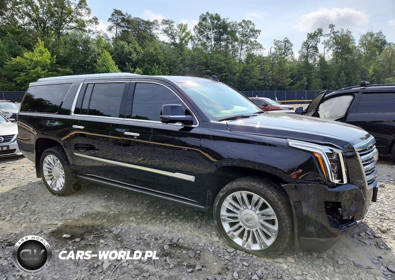2019 Cadillac Escalade Esv Platinum VIN:1GYS3KKJ1KR254293 - 4