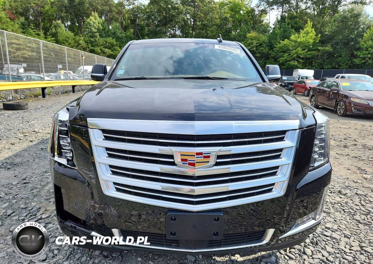 2019 Cadillac Escalade Esv Platinum VIN:1GYS3KKJ1KR254293 - 5