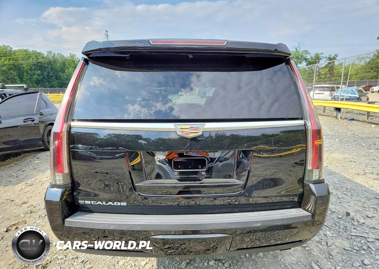 2019 Cadillac Escalade Esv Platinum VIN:1GYS3KKJ1KR254293 - 6