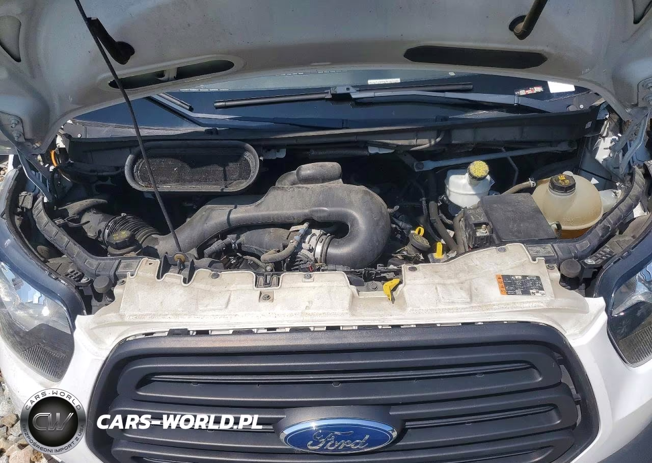2019 Ford Transit T- - Delivery Van VIN:1FTRS4XM6KKA65332 - 12