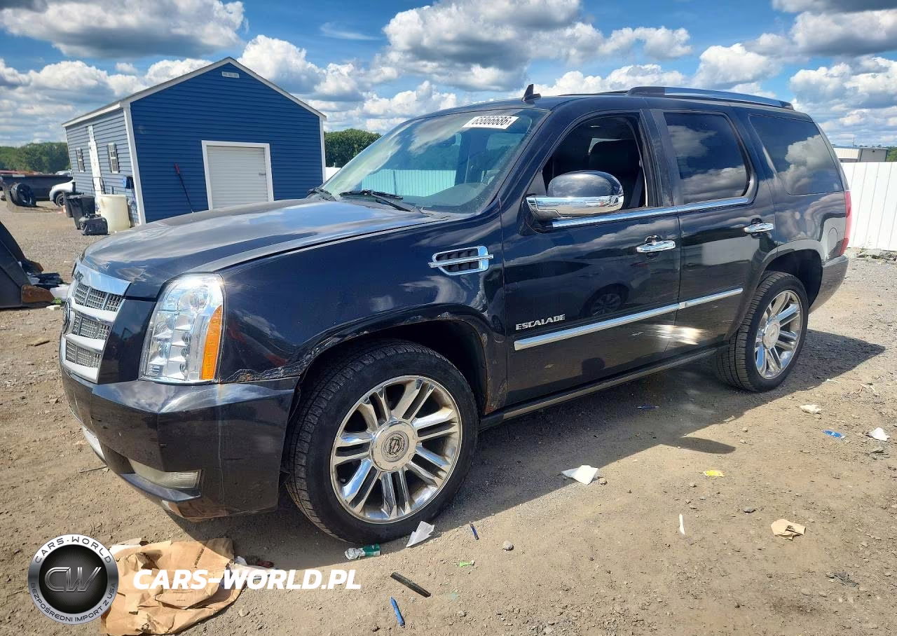 2010 Cadillac Escalade Platinum