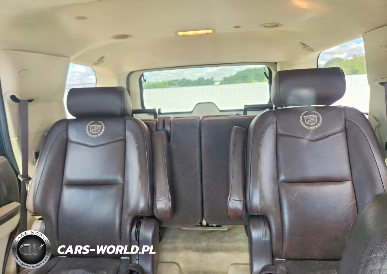 2010 Cadillac Escalade Platinum VIN:1GYUKDEF4AR157957 - 10