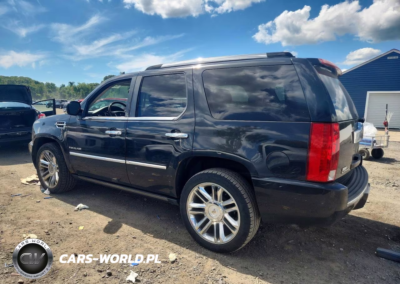 2010 Cadillac Escalade Platinum VIN:1GYUKDEF4AR157957 - 2