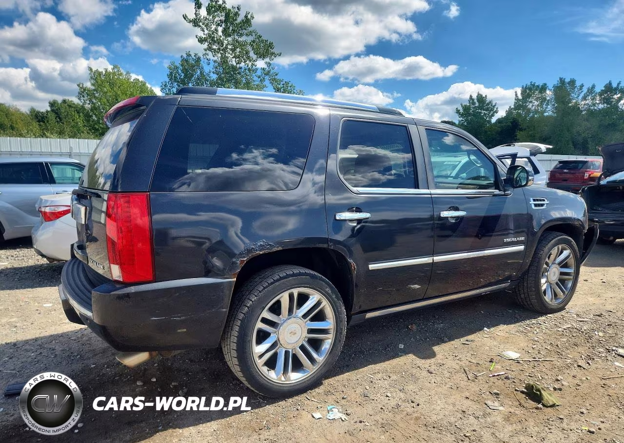 2010 Cadillac Escalade Platinum VIN:1GYUKDEF4AR157957 - 3