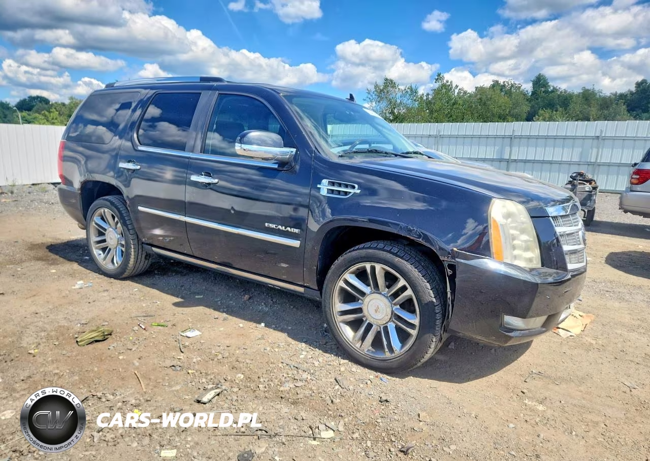 2010 Cadillac Escalade Platinum VIN:1GYUKDEF4AR157957 - 4