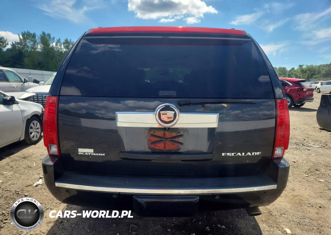 2010 Cadillac Escalade Platinum VIN:1GYUKDEF4AR157957 - 6