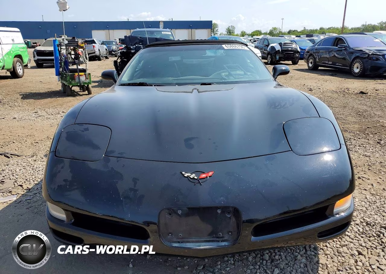 2001 Chevrolet Corvette VIN:1G1YY32G315134439 - 5