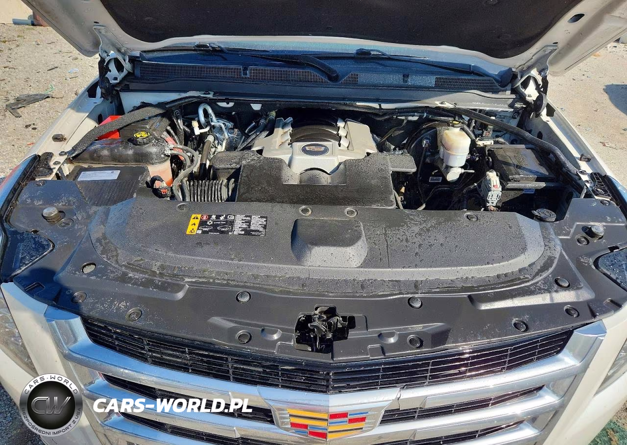 2019 Cadillac Escalade Esv Premium Luxury VIN:1GYS4JKJ3KR139654 - 12