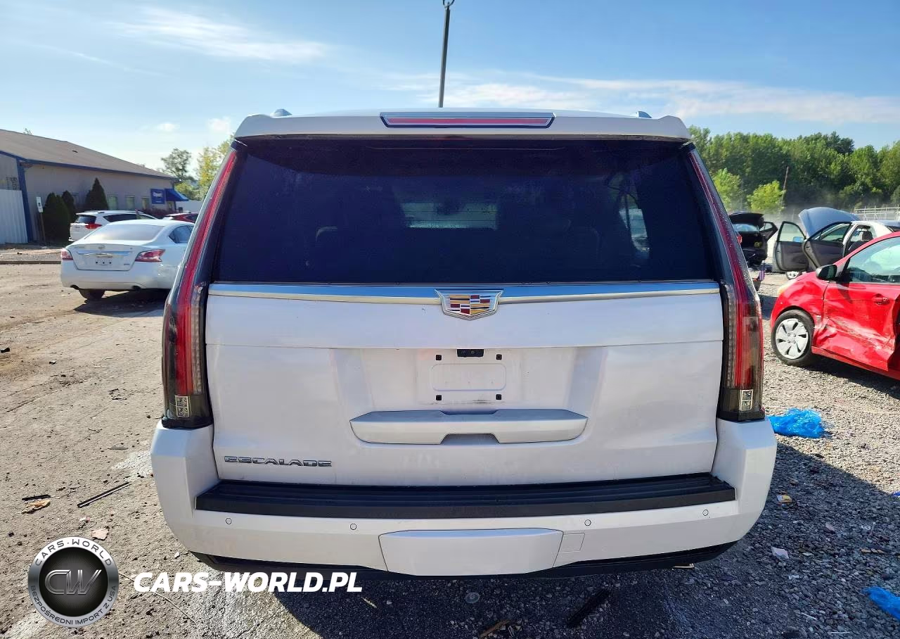 2019 Cadillac Escalade Esv Premium Luxury VIN:1GYS4JKJ3KR139654 - 6