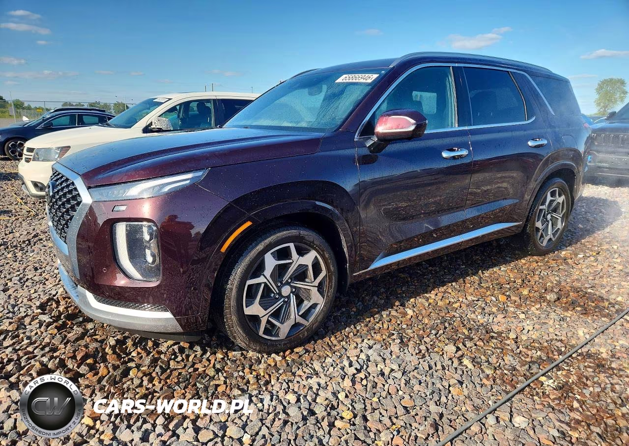 2021 Hyundai Palisade Calligraphy VIN:KM8R7DHE7MU254230 - 1