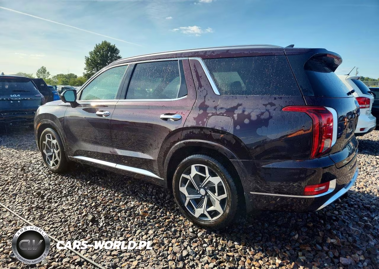 2021 Hyundai Palisade Calligraphy VIN:KM8R7DHE7MU254230 - 2