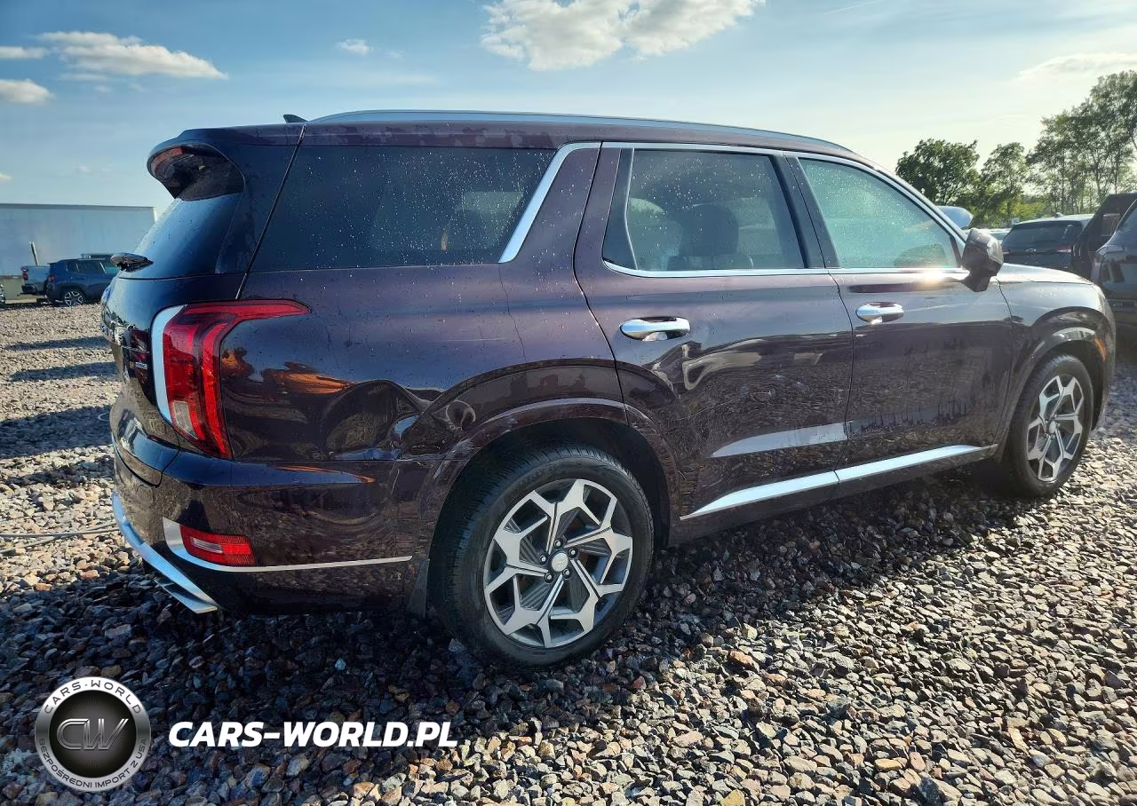 2021 Hyundai Palisade Calligraphy VIN:KM8R7DHE7MU254230 - 3
