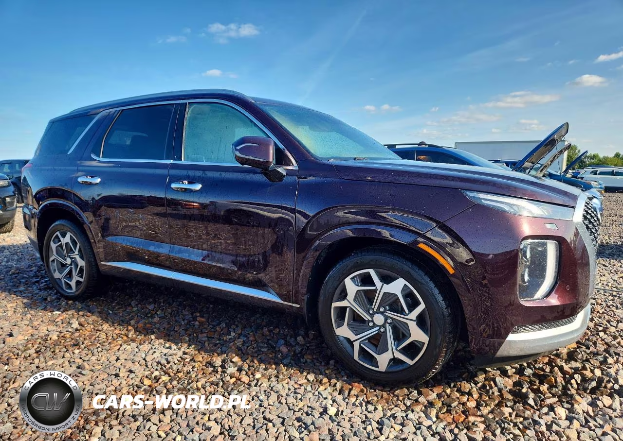 2021 Hyundai Palisade Calligraphy VIN:KM8R7DHE7MU254230 - 4