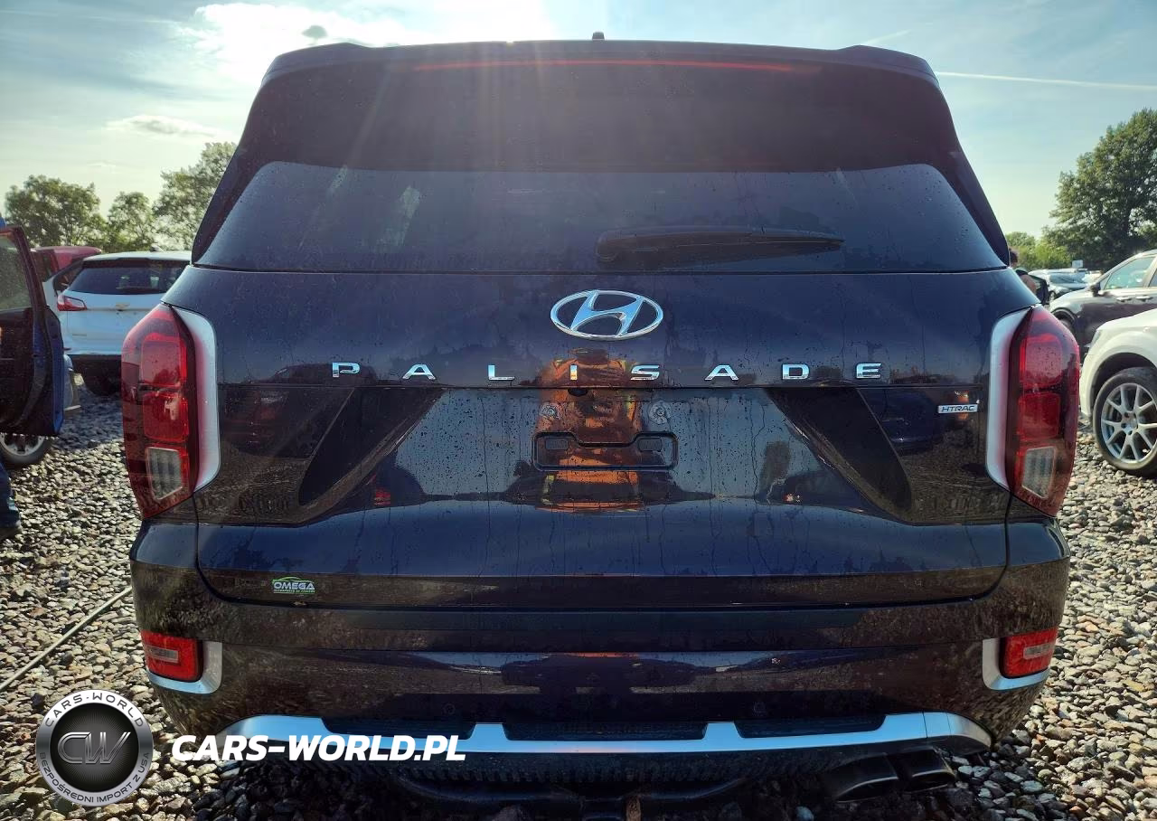 2021 Hyundai Palisade Calligraphy VIN:KM8R7DHE7MU254230 - 6