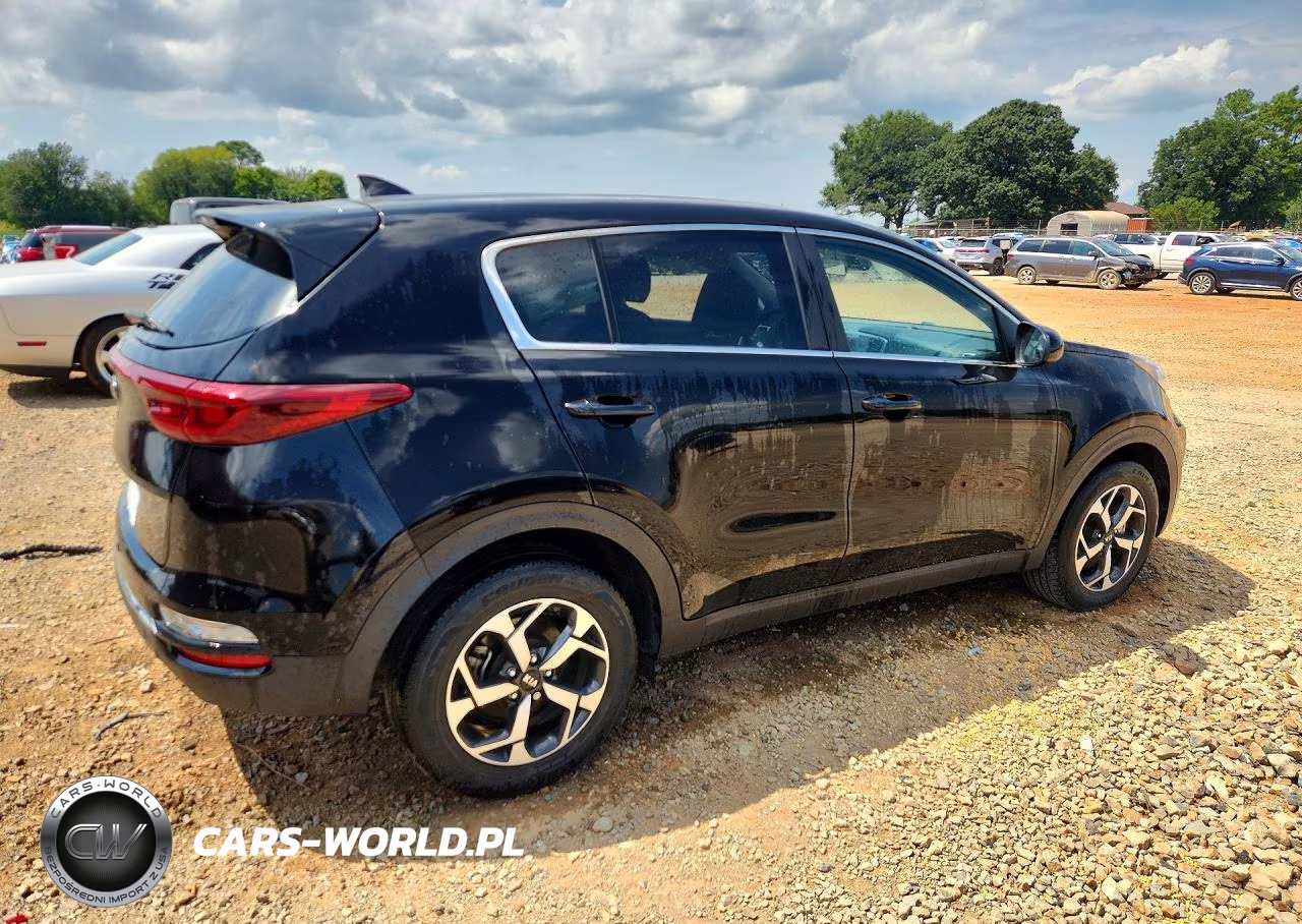 2022 Kia Sportage Lx VIN:KNDPM3AC9N7027841 - 3