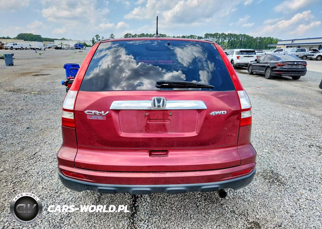 2010 Honda Cr-V Exl VIN:5J6RE4H74AL042490 - 6