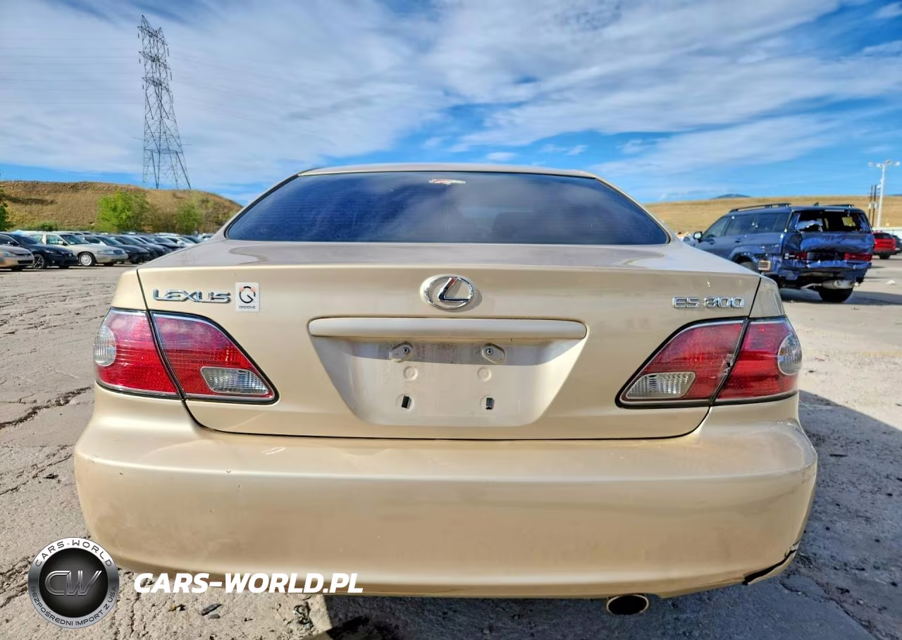 2003 Lexus Es 300 VIN:JTHBF30G835040774 - 6