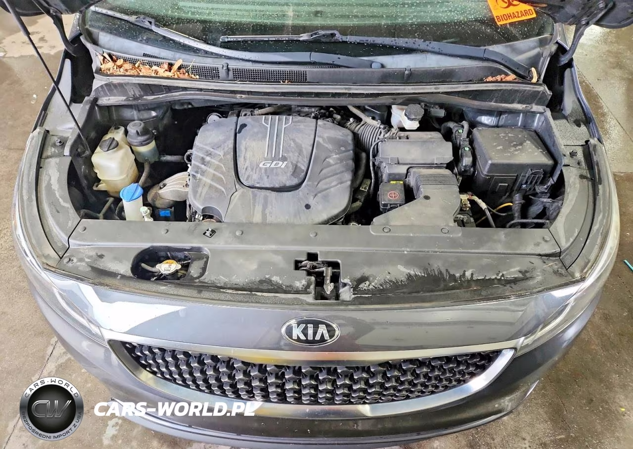 2017 Kia Sedona Lx VIN:KNDMB5C11H6226201 - 12