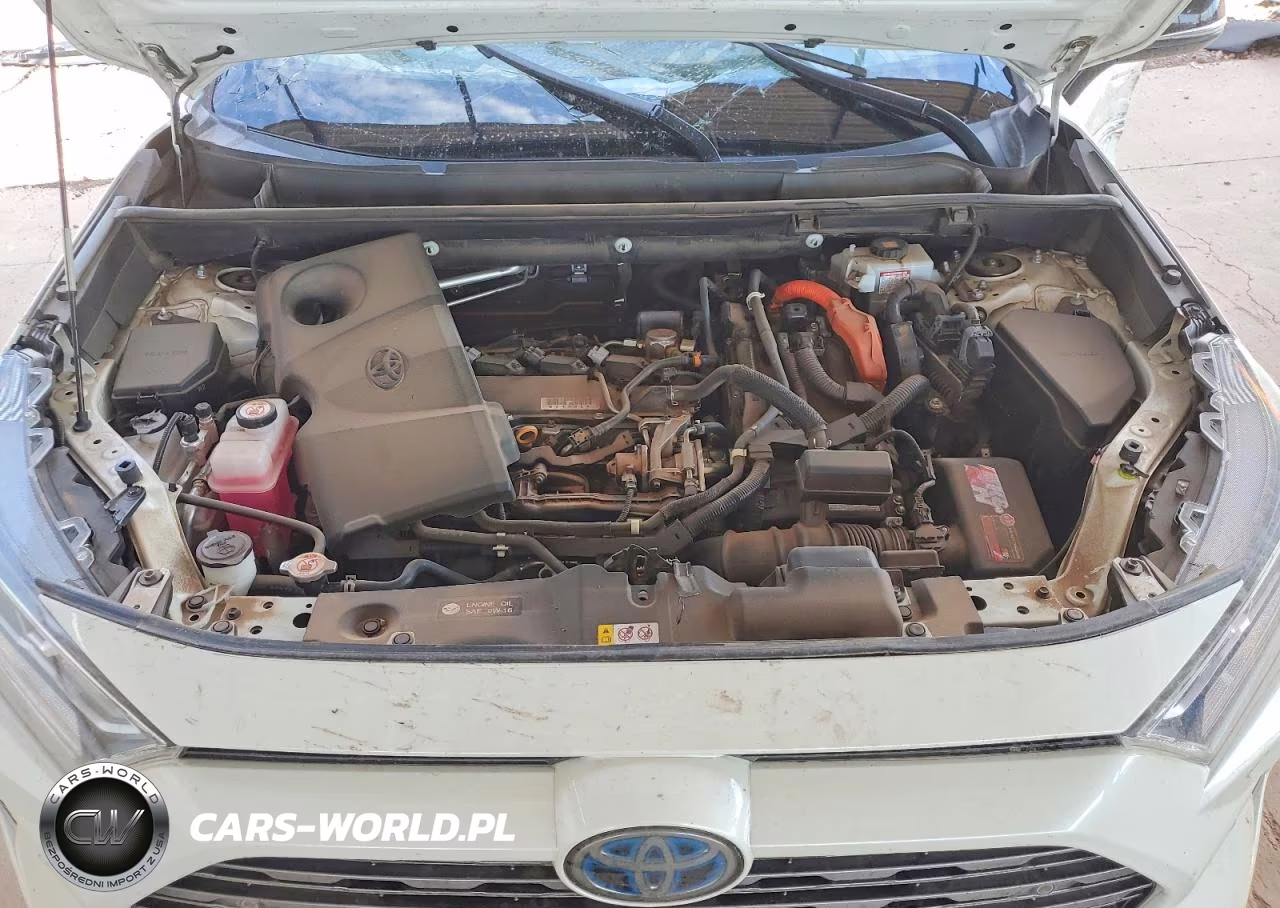 2020 Toyota Rav4 Xse VIN:4T3EWRFV5LU006436 - 12