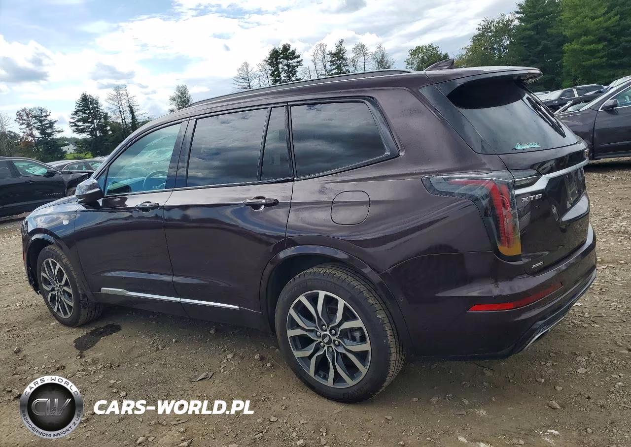 2021 Cadillac Xt6 Sport VIN:1GYKPHRS4MZ111959 - 2