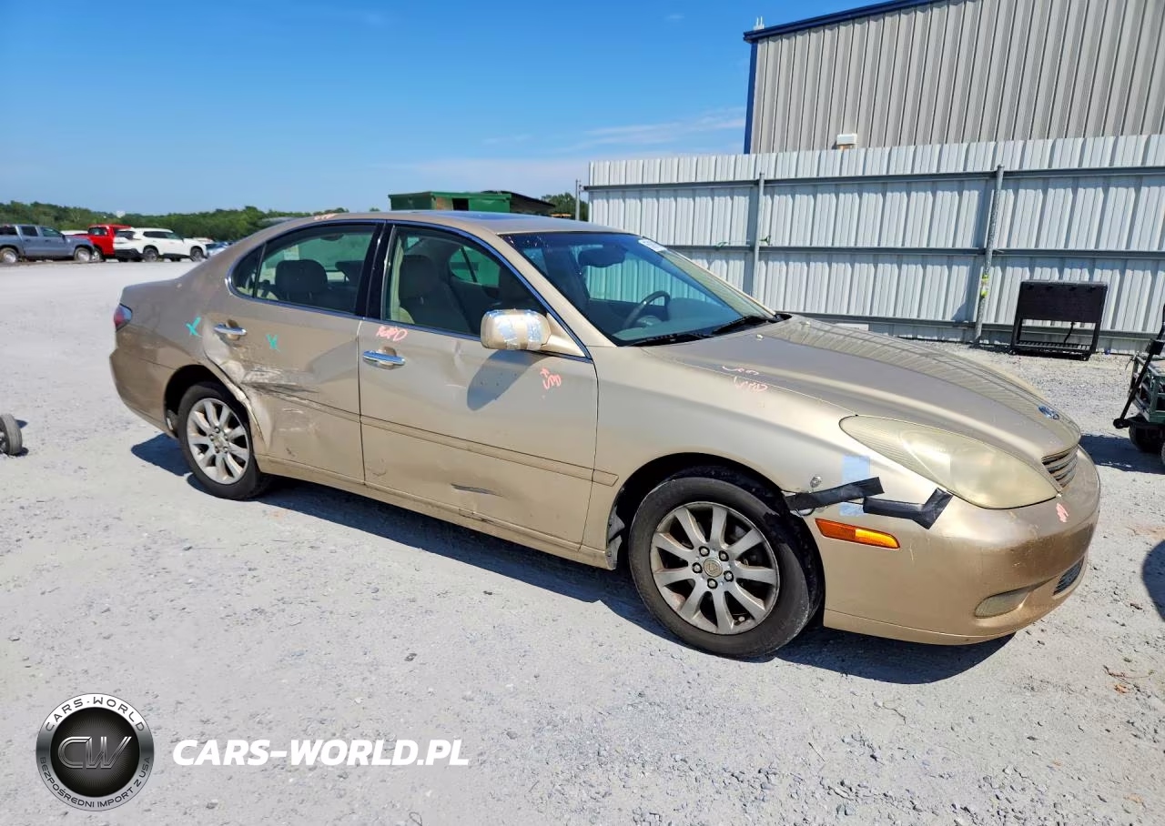 2004 Lexus Es 330 VIN:JTHBA30G245005891 - 4