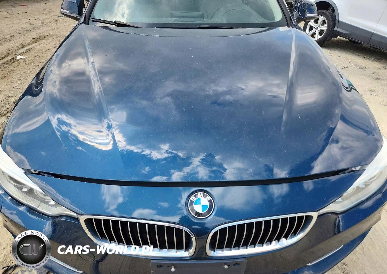 2015 BMW 428 Xi VIN:WBA3N5C56FK484513 - 11