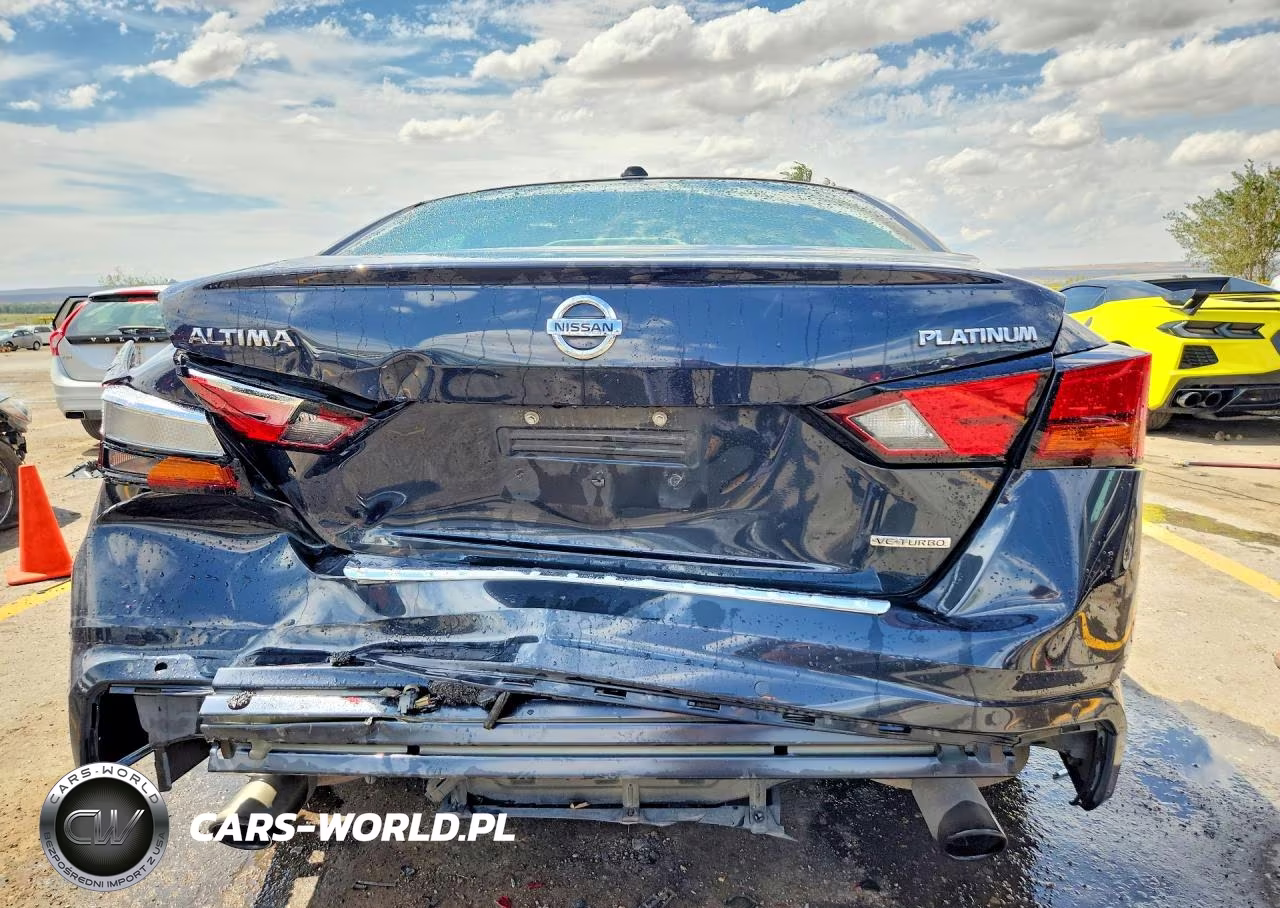 2020 Nissan Altima Platinum VIN:1N4AL4FVXLC100640 - 6