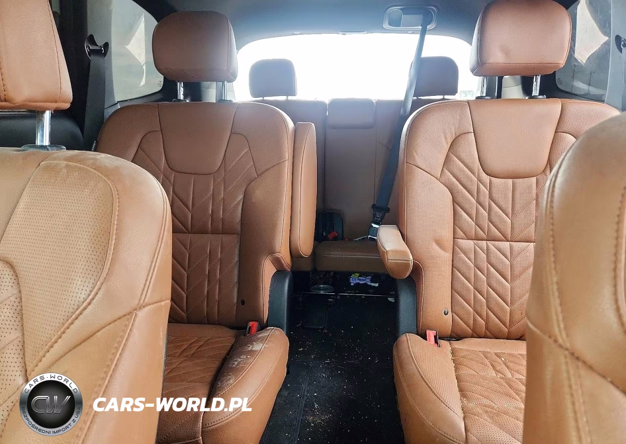 2024 Kia Telluride Ex X-Line VIN:5XYP3DGC9RG524364 - 10