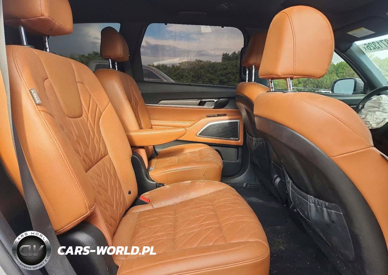 2024 Kia Telluride Ex X-Line VIN:5XYP3DGC9RG524364 - 11