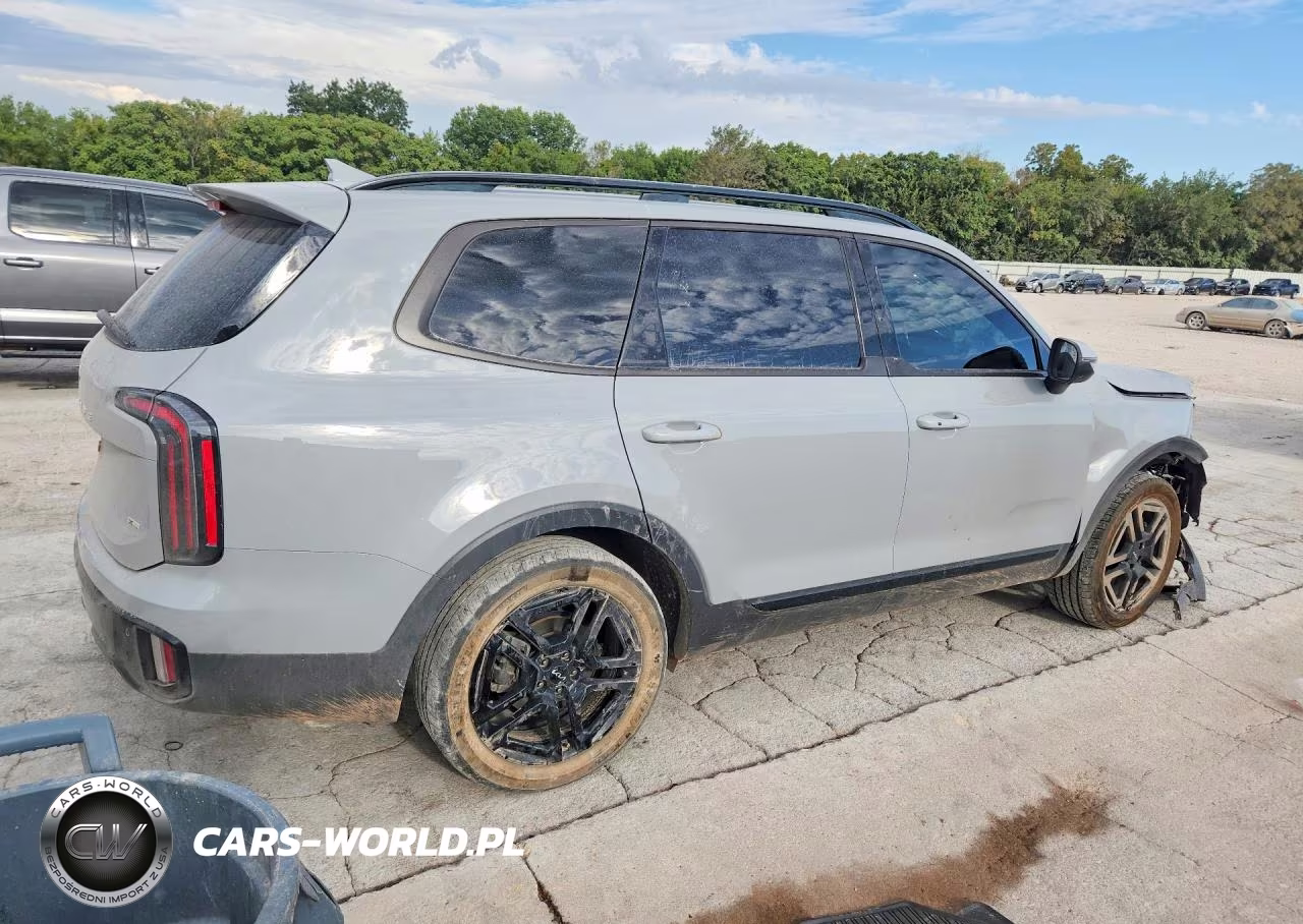 2024 Kia Telluride Ex X-Line VIN:5XYP3DGC9RG524364 - 3