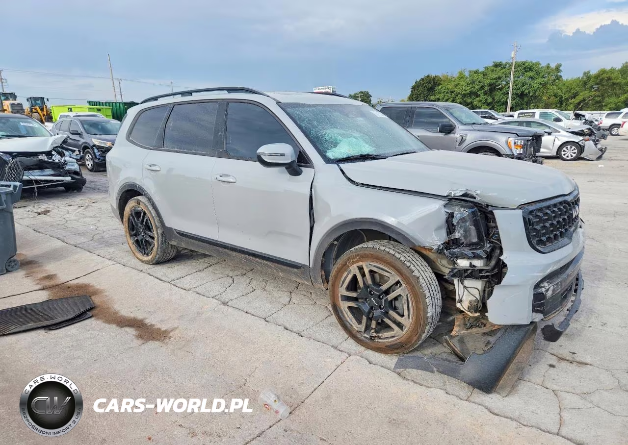 2024 Kia Telluride Ex X-Line VIN:5XYP3DGC9RG524364 - 4