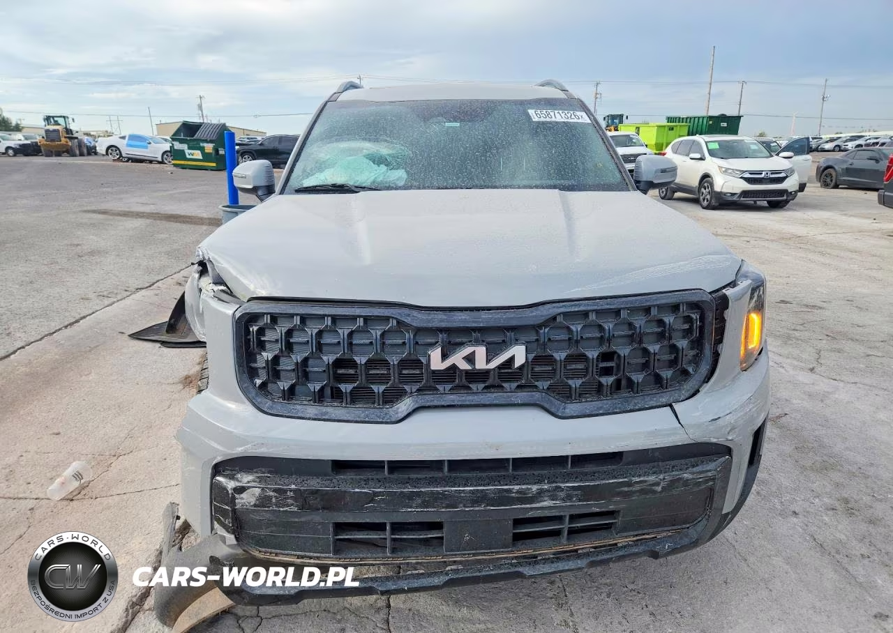 2024 Kia Telluride Ex X-Line VIN:5XYP3DGC9RG524364 - 5