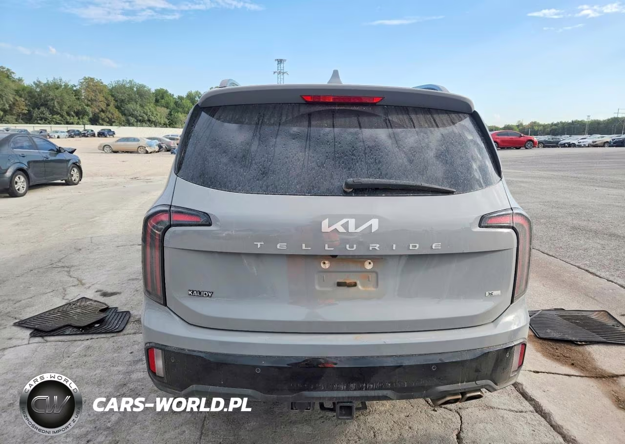 2024 Kia Telluride Ex X-Line VIN:5XYP3DGC9RG524364 - 6