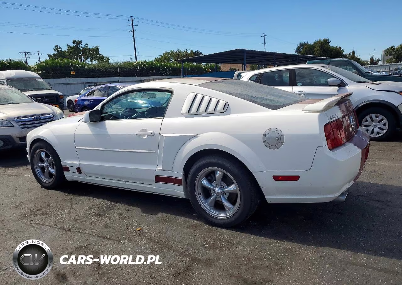 2006 Ford Mustang VIN:1ZVFT80N965159815 - 2