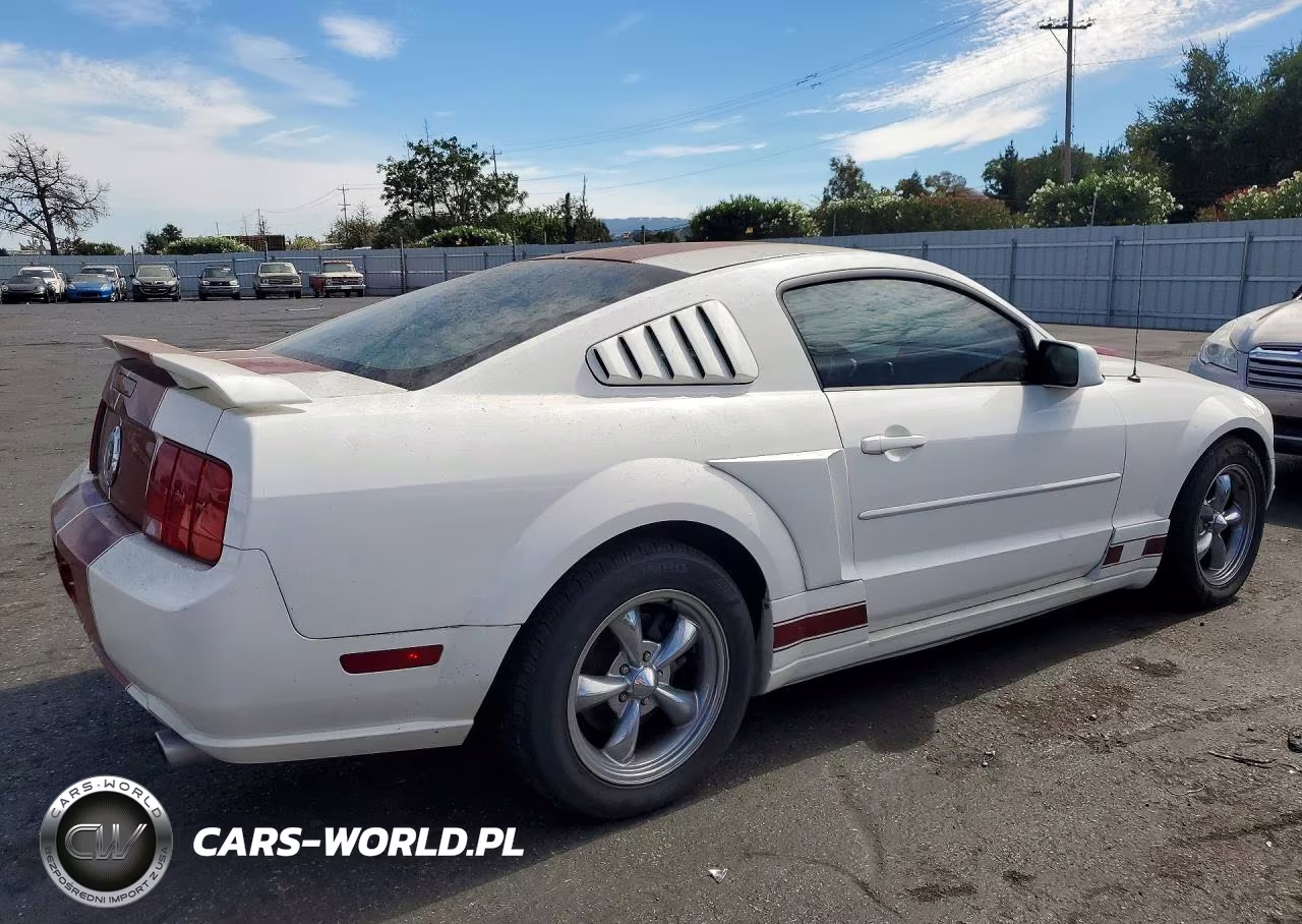 2006 Ford Mustang VIN:1ZVFT80N965159815 - 3